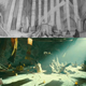 Illustration for article titled Imaginarium Concept Art Is Like Monty Python Without Giant Feet